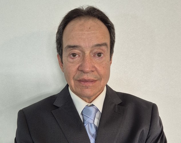 Ejecutivo proyectos logística
